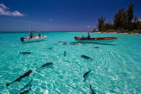 The 10 BEST Fishing Charters in Seychelles (Spring 2024).